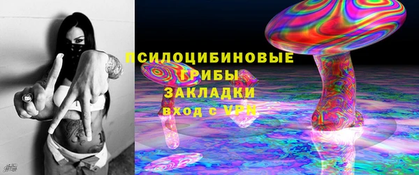 марки lsd Заводоуковск