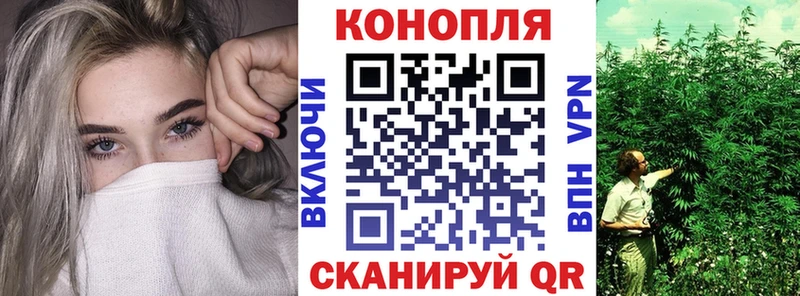 Конопля OG Kush Купить где Лесосибирск
